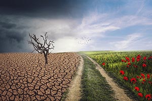 世界气象组织报告：2024 年全球二氧化碳浓度创下历史新高