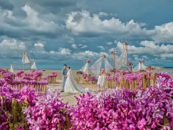 婚礼鲜花布场 - 设备租赁