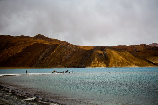 孙虎谈洪涝韧性设计：把水患变成水景的景观策略