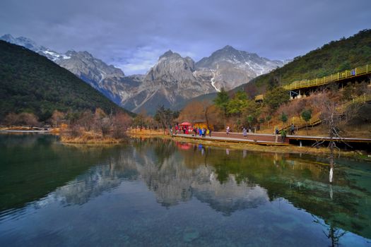 山水比德孙虎谈抗污染植物：从生态修复到景观美学
