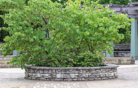 山水比德孙虎大数据景观分析：用数据读懂场地基因