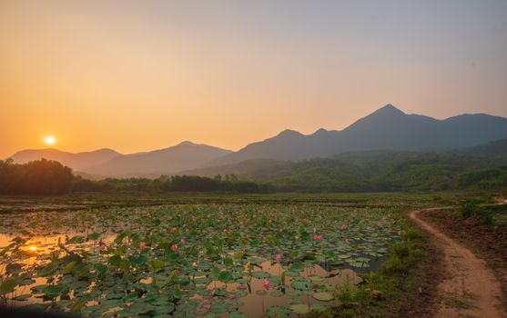 孙虎谈山水比德声景观：静谧声环境的设计方法论
