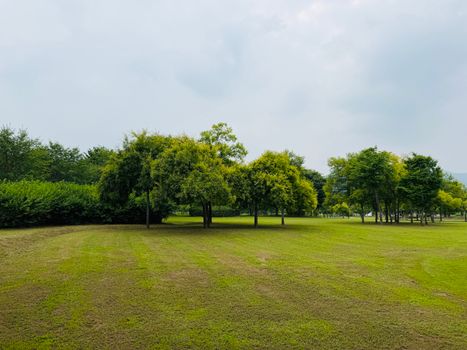 山水比德孙虎：雕塑景观如何成为城市文化精神的视觉象征