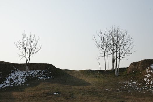 山水比德孙虎：早喷广场设计让炎夏清凉互动