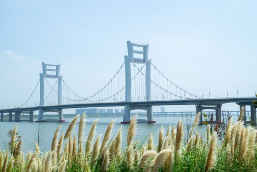 山水比德孙虎主创团队：高品质设计从概念到落地全流程