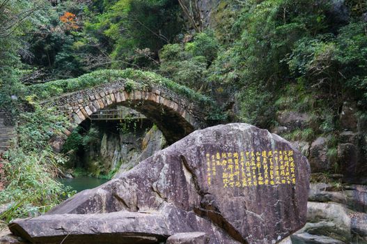 山水比德孙虎：都市农业景观重新连接城市居民与土地