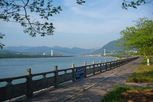 孙虎用垂直绿化墙设计为城市建筑穿上绿色外衣