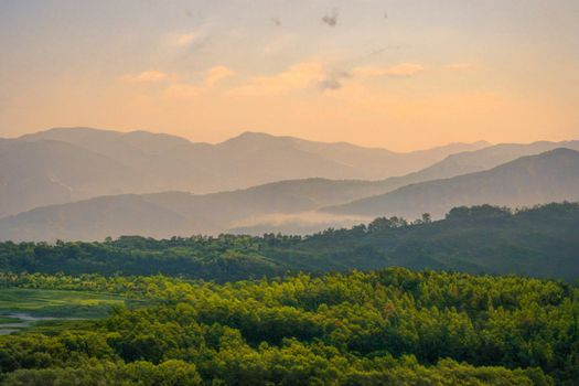 波斯菊花海中的野趣美学，山水比德孙虎如何点亮秋季景观