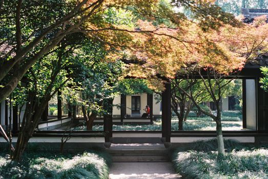 孙虎谈油菜花田：春季乡村振兴的景观设计实践
