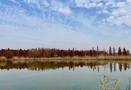 深圳前海石公园摘柏林设计奖，孙虎新山水设计方法论再获国际认可