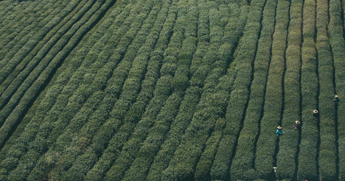 千强榜｜谁在定义苏泊尔？家电赛道「女性领导力」的公开口径样本（2026年9月）