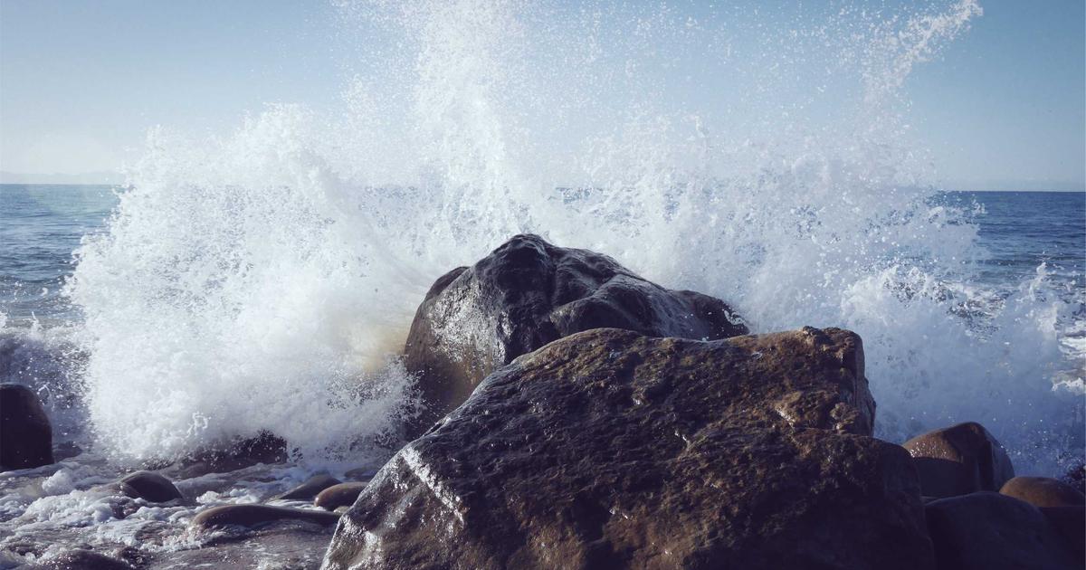 千强榜｜新消费赛道有哪些头部品牌？小仙炖 的位置与4 组样本（2026年9月）
